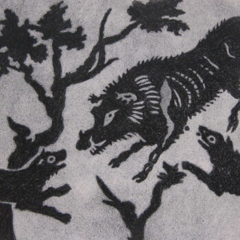 Teoksen nimi: VILLISIKA 2006