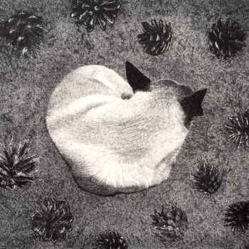 Teoksen nimi: UNI 2018