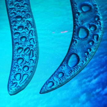 Additional work image