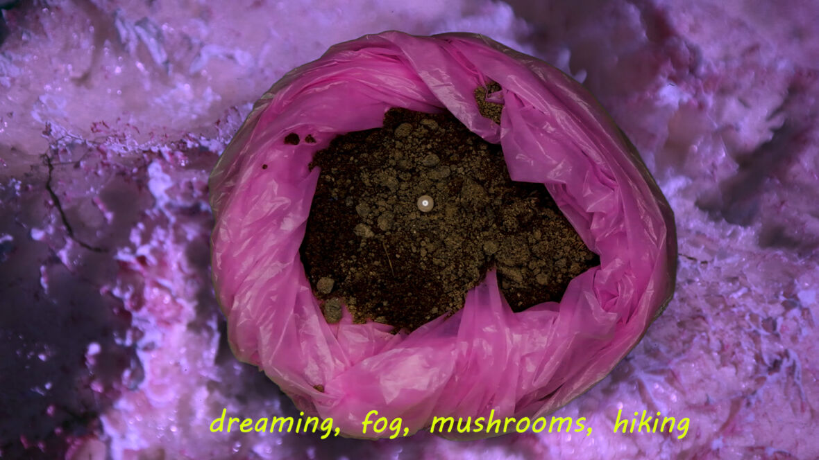 Sinä olet helmi / You are a Pearl