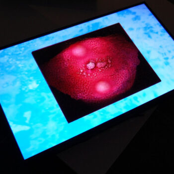 Additional work image