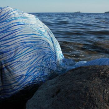 Additional work image