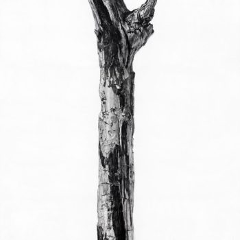Name of the work: 15,9cm