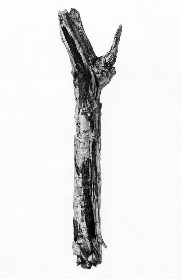 15,9cm