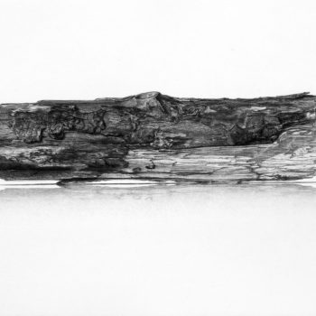 Name of the work: FATHERLINESS