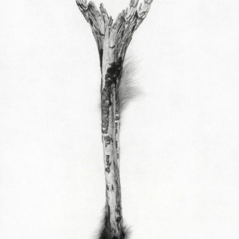 Name of the work: PRIMITIVE BLOODLINE