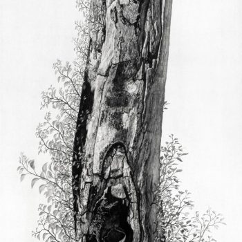 Name of the work: BLESSED LIFE