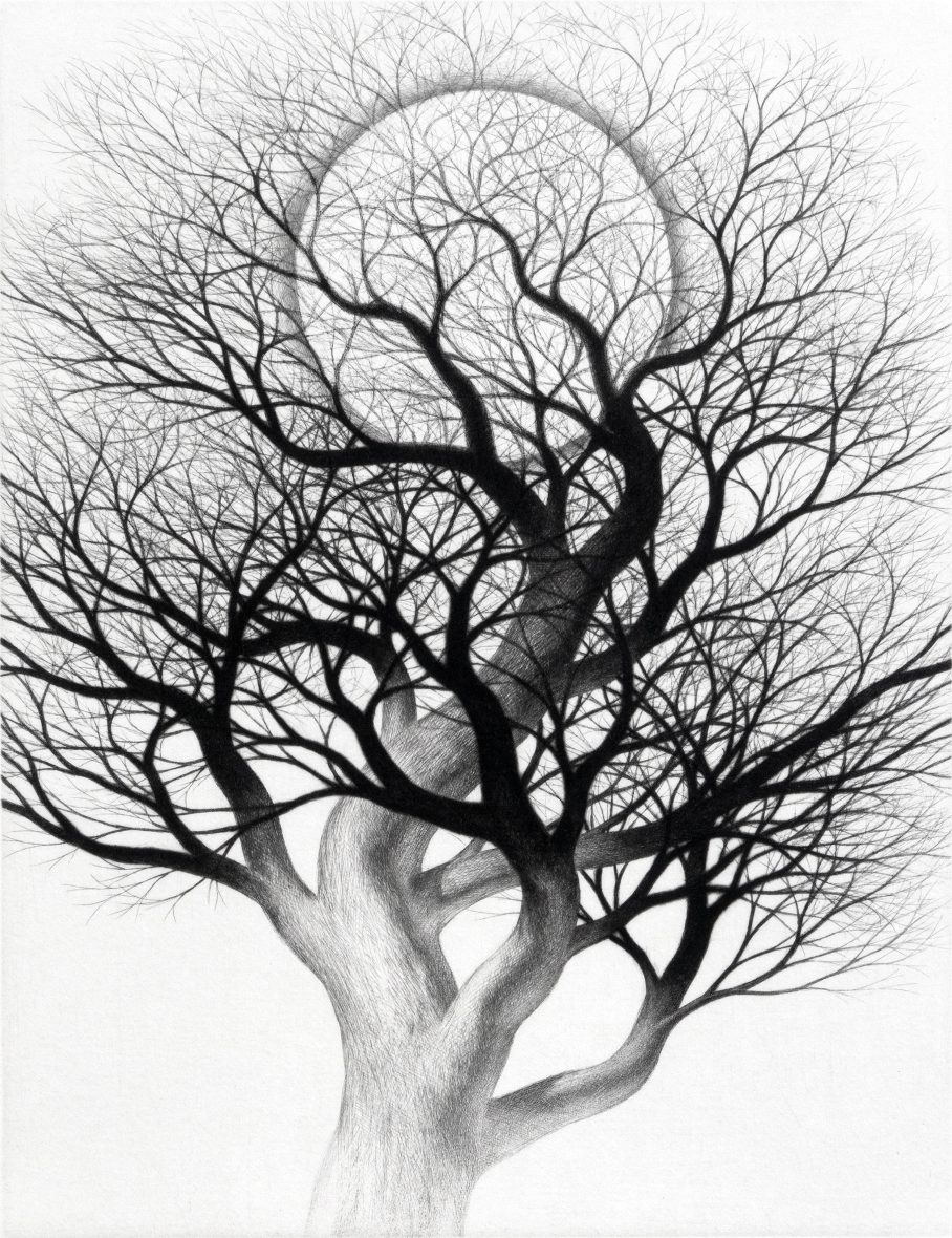 COURSE OF NATURE I