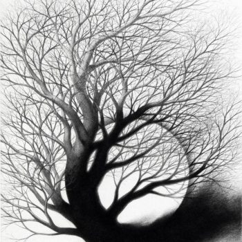Name of the work: COURSE OF NATURE II