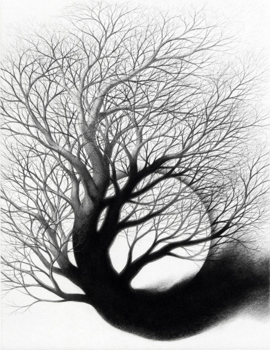 COURSE OF NATURE II