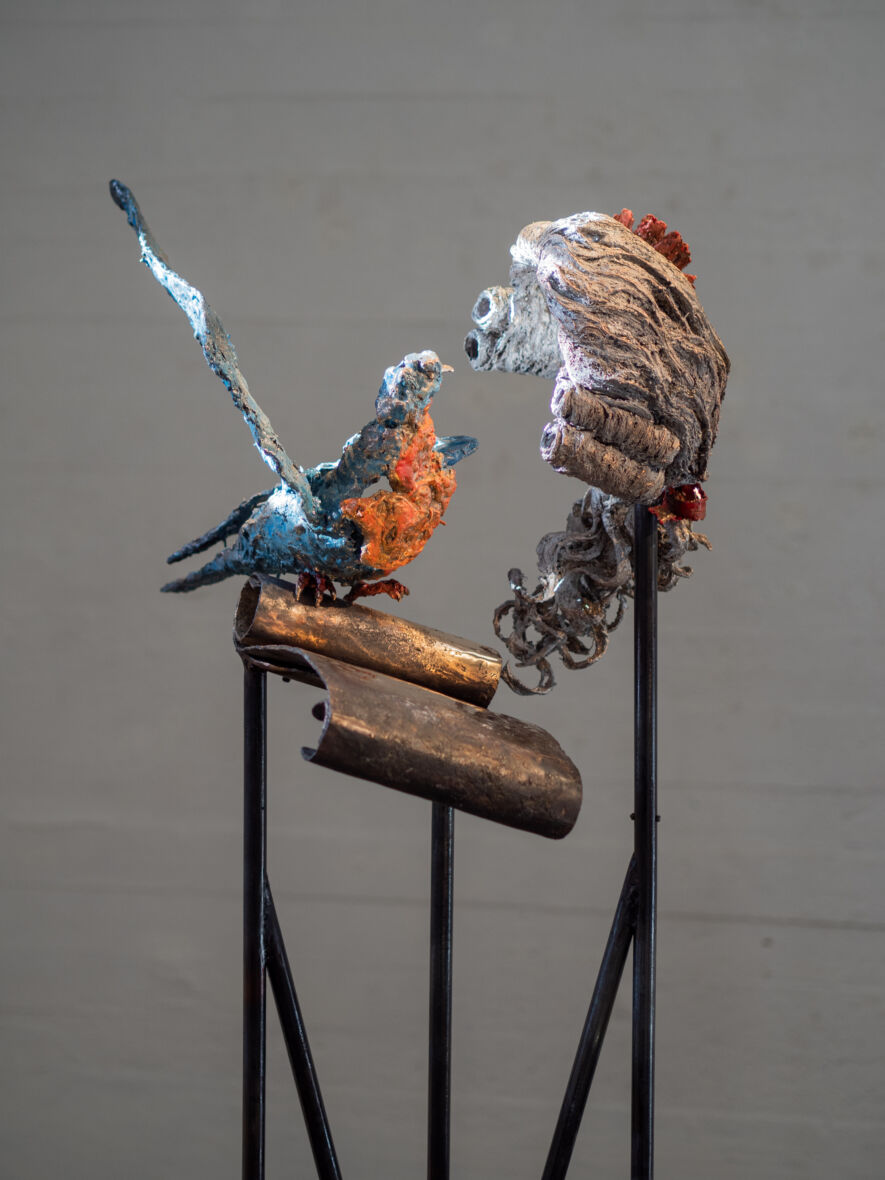 Pietarin peruukki ja villikyyhky