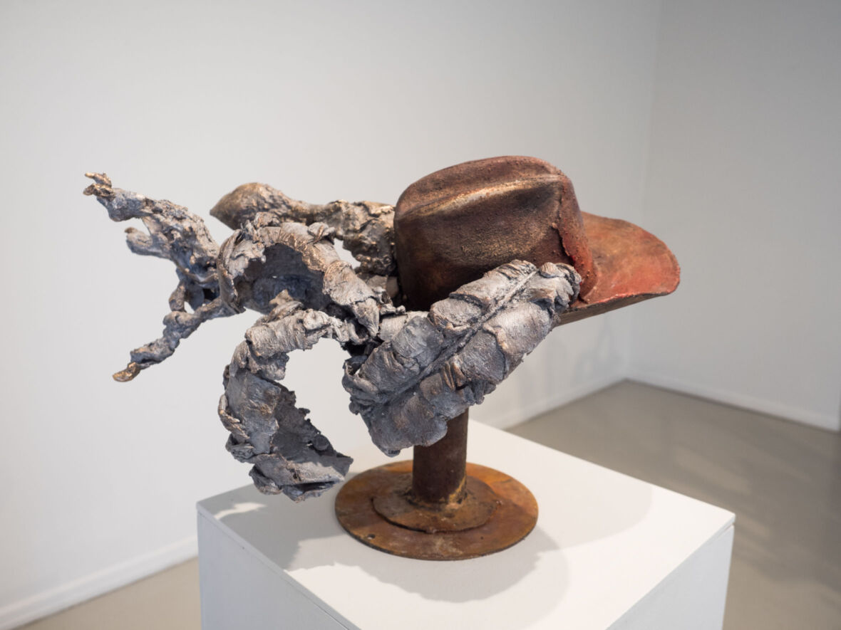 Viimeiset dodonsulat