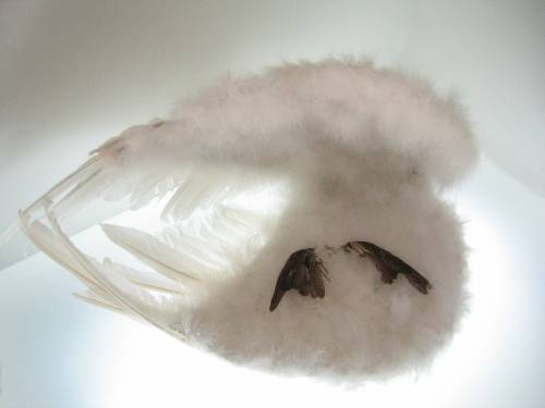 Siivet  (osa tilateosta Maailmani kaudet – Hauraus) / Wings (part of the spatial artwork ‘Eras of My Life’)