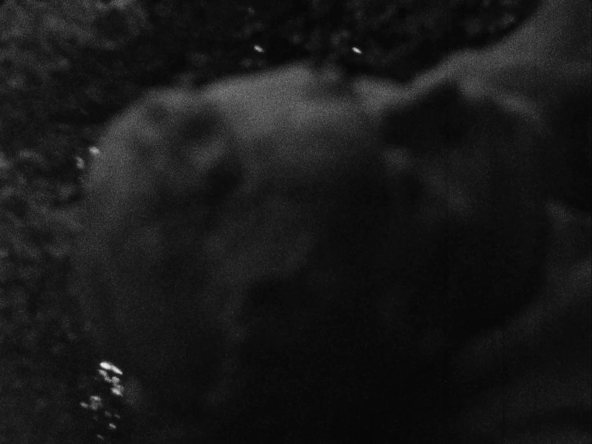 Hiljaisista kaipauksista (Of silent longings), 2023