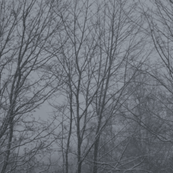 Teoksen nimi: The Land That is Not