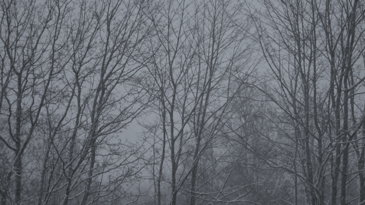 The Land That is Not