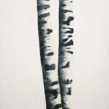 Name of the work: Cantus