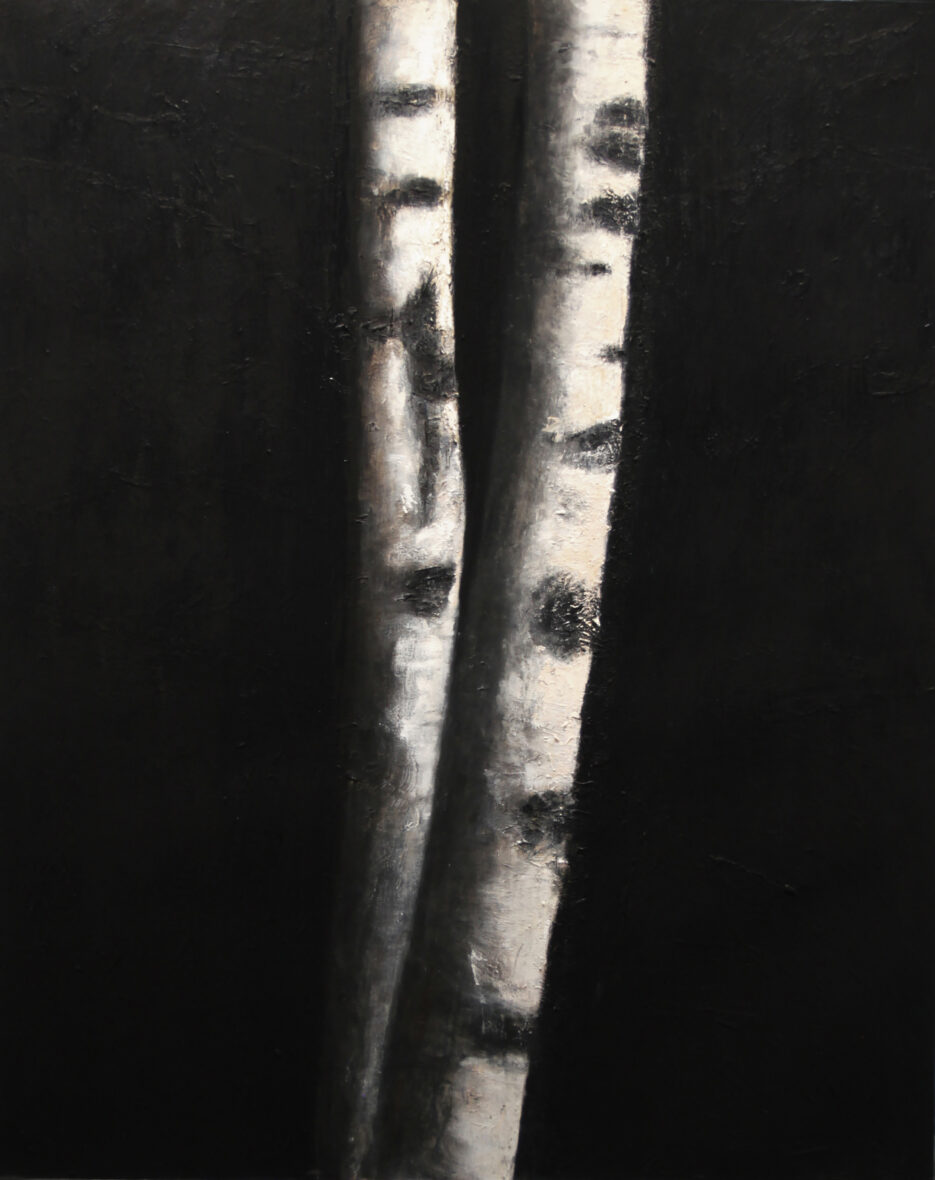 Koivut jotka jäivät