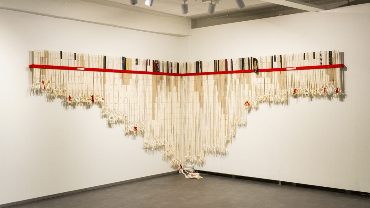 Pukineiden omistusaika, osa 1: Vuoden 2020 inventaarion pukineet, pukineiden paino 38,9 kg