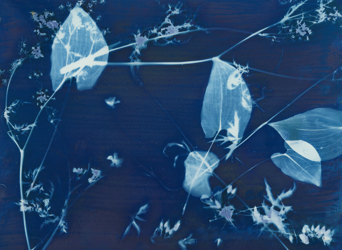 Japanese composition I