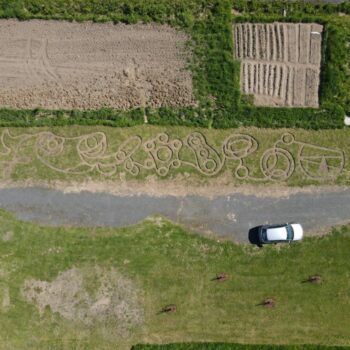 Additional work image