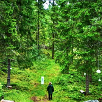 Additional work image