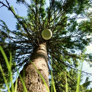 Additional work image