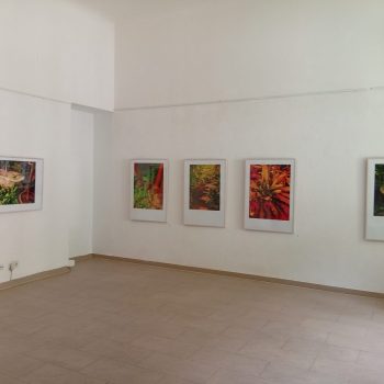 Teoksen nimi: ”Sehsucht nach dem Paradies” yleiskuva 1. galleria Pleiku Berliini, 2026