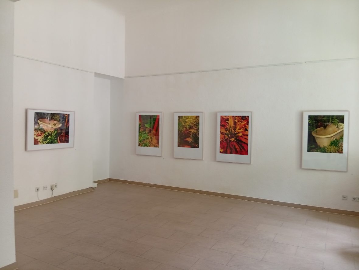 ”Sehsucht nach dem Paradies” yleiskuva 1. galleria Pleiku Berliini, 2026