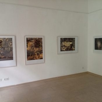 Teoksen nimi: ”Sehsucht nach dem Paradies”, yleiskuva 2. yksityisnäyttely Berliini, galleria Pleiku, 2026