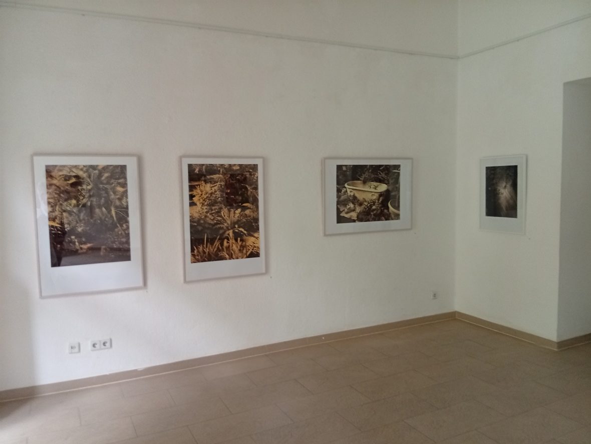 ”Sehsucht nach dem Paradies”, yleiskuva 2. yksityisnäyttely Berliini, galleria Pleiku, 2026