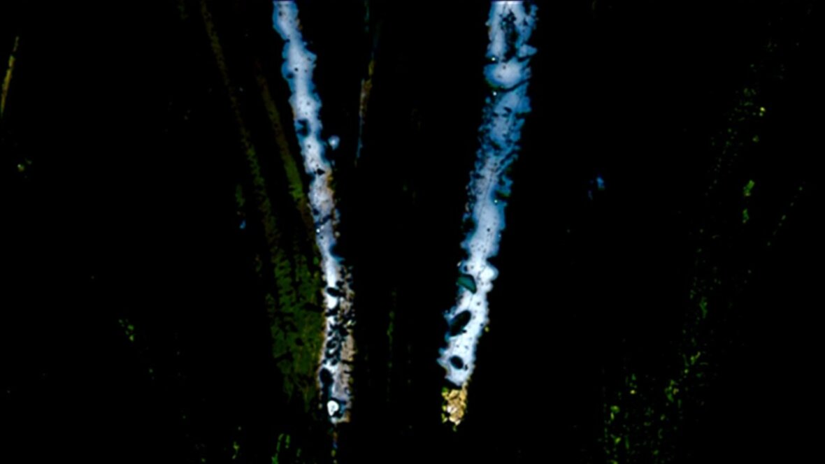 Kutsun itseäni terveeksi / I Call Myself Sane