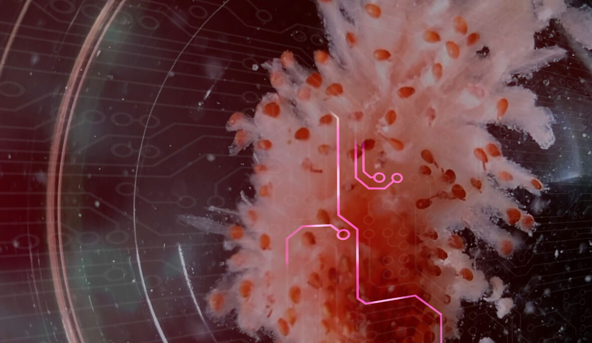 Technological mother