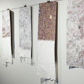 Name of the work: ´Reverse, revealing, reconstructing image´