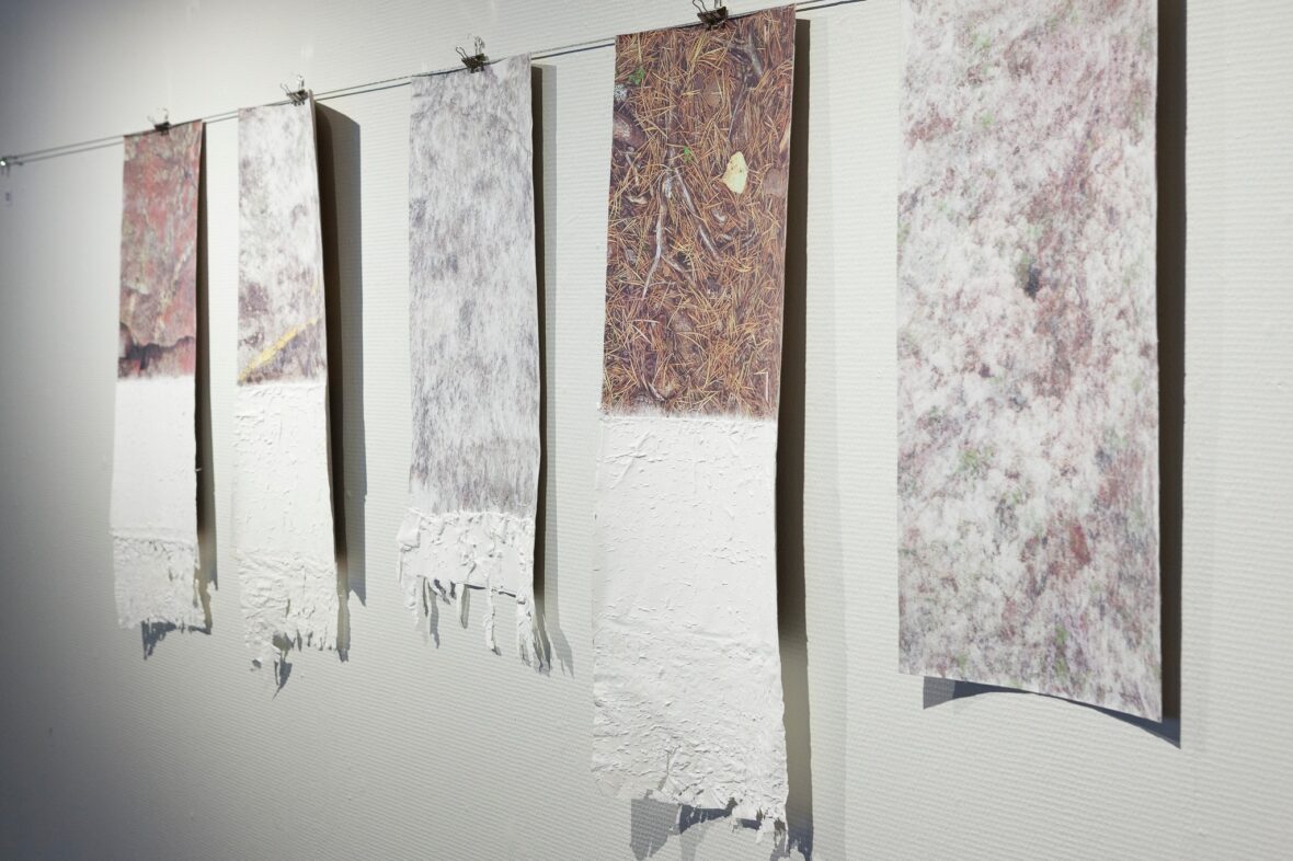 ´Reverse, revealing, reconstructing image´