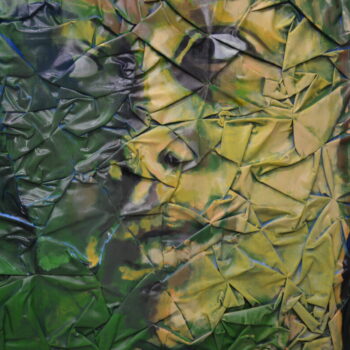 Name of the work: Scanning Landscape, portrait