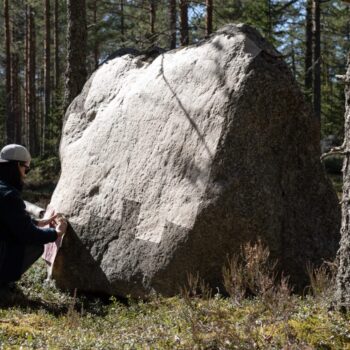 Name of the work: ´Skin´