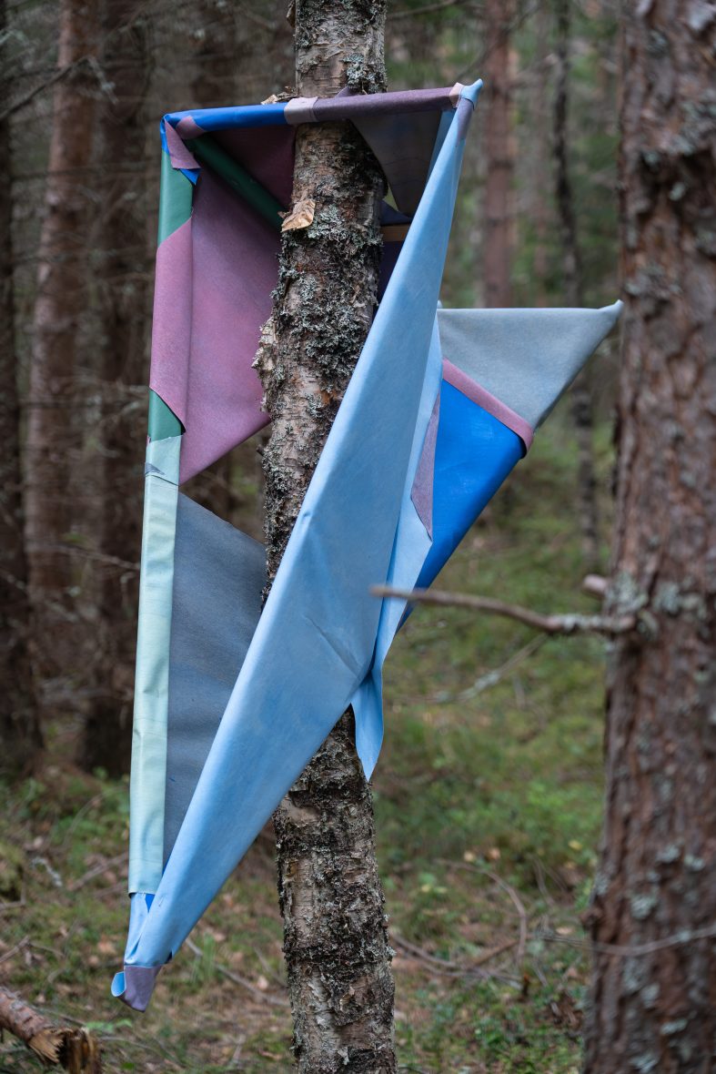 ´Nature into Geometry´