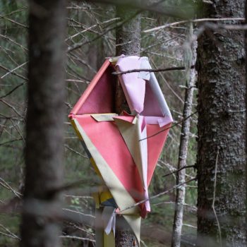 Teoksen nimi: ´Nature into Geometry´
