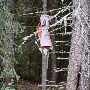 Lisäkuva teoksesta