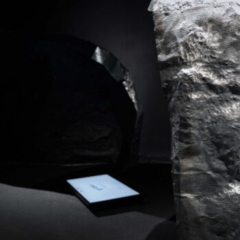 Name of the work: ‘Protrusion’ (decomposed)