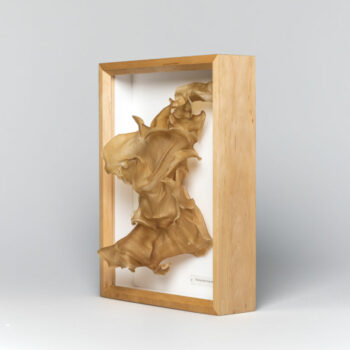 Additional work image