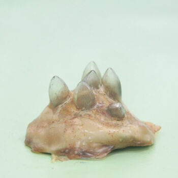 Name of the work: Synty