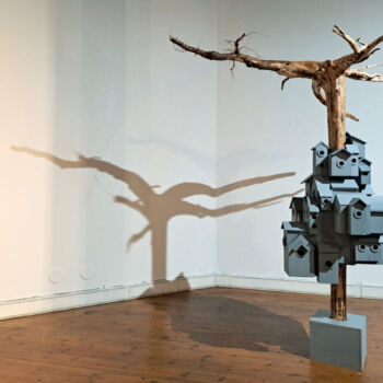 Teoksen nimi: Lintukato