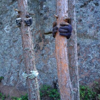 Name of the work: Ryhmähali