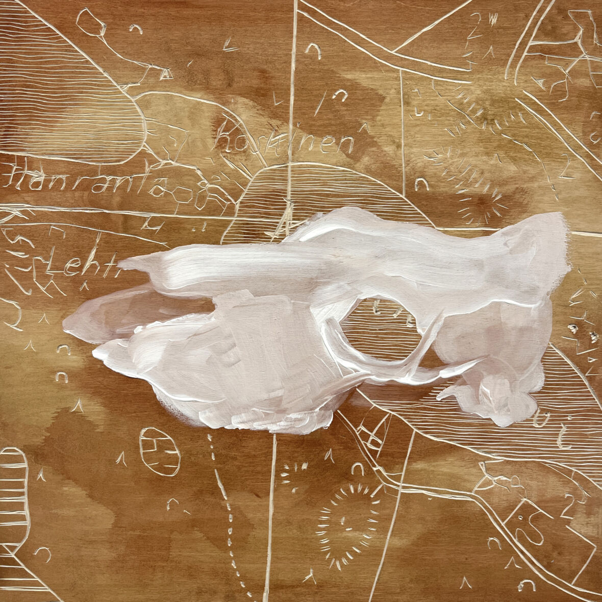 Memento mori, Miekkajärvi. ( a tribute to Georgia O´Keeffe)