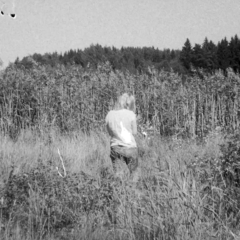 Teoksen nimi: Milloin päivä valkenee / When Will the Day Break