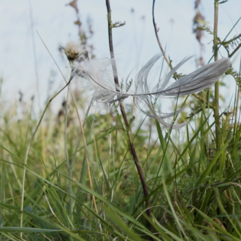 Teoksen nimi: Irti / Trying to Let Go