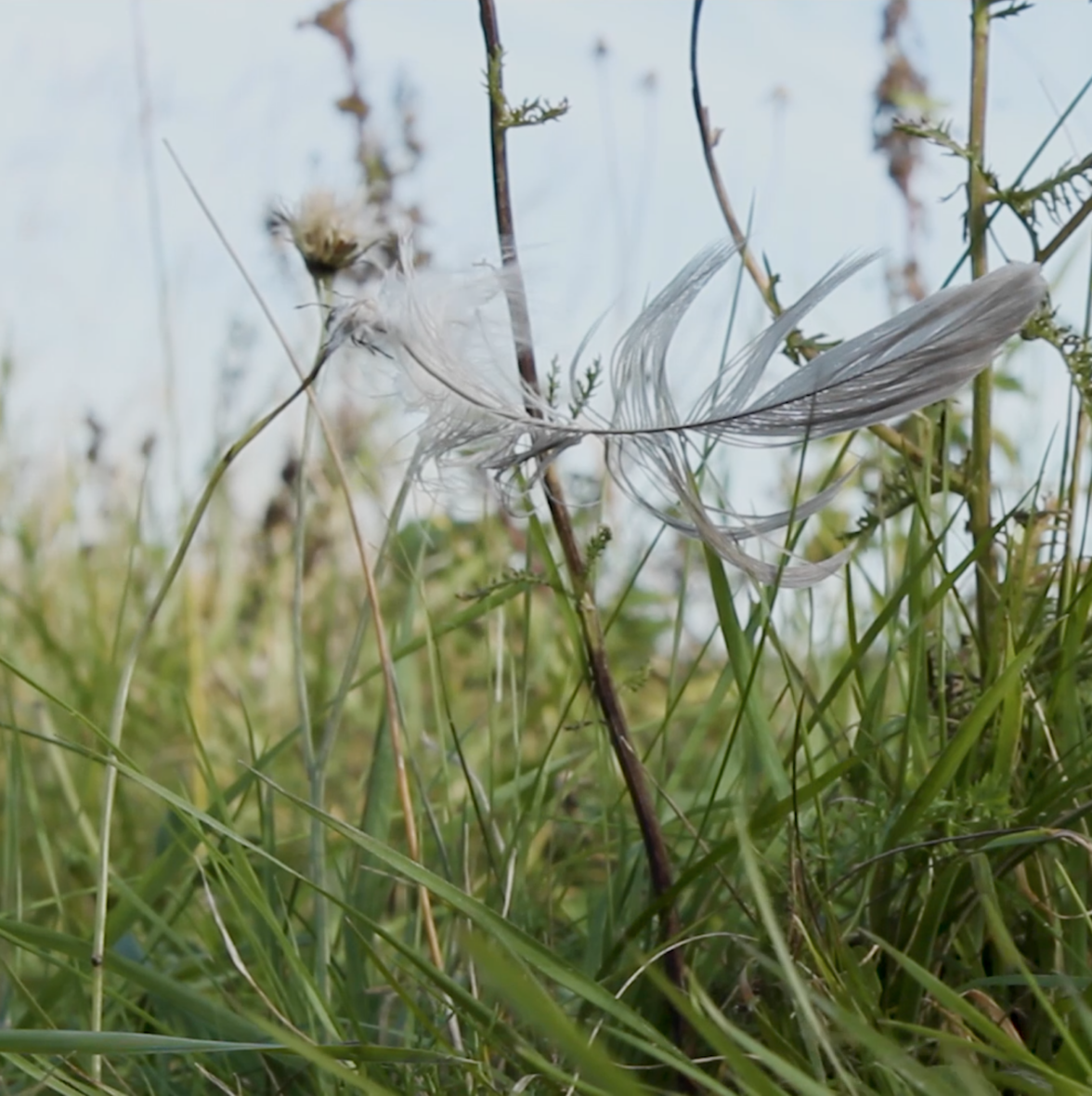 Irti / Trying to Let Go