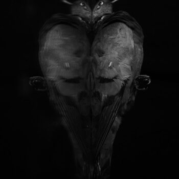 Teoksen nimi: Pulusydän